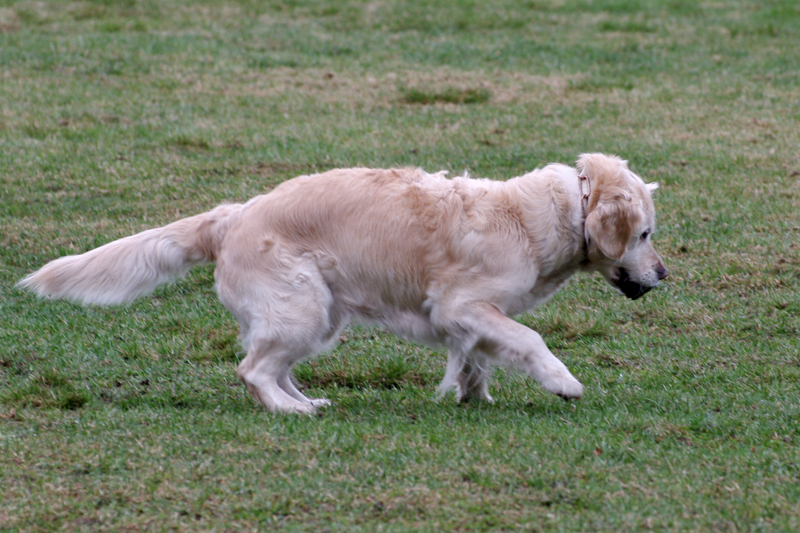 8.5.2010 102c.jpg